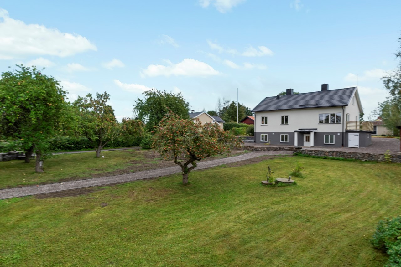 Vacker trädgård