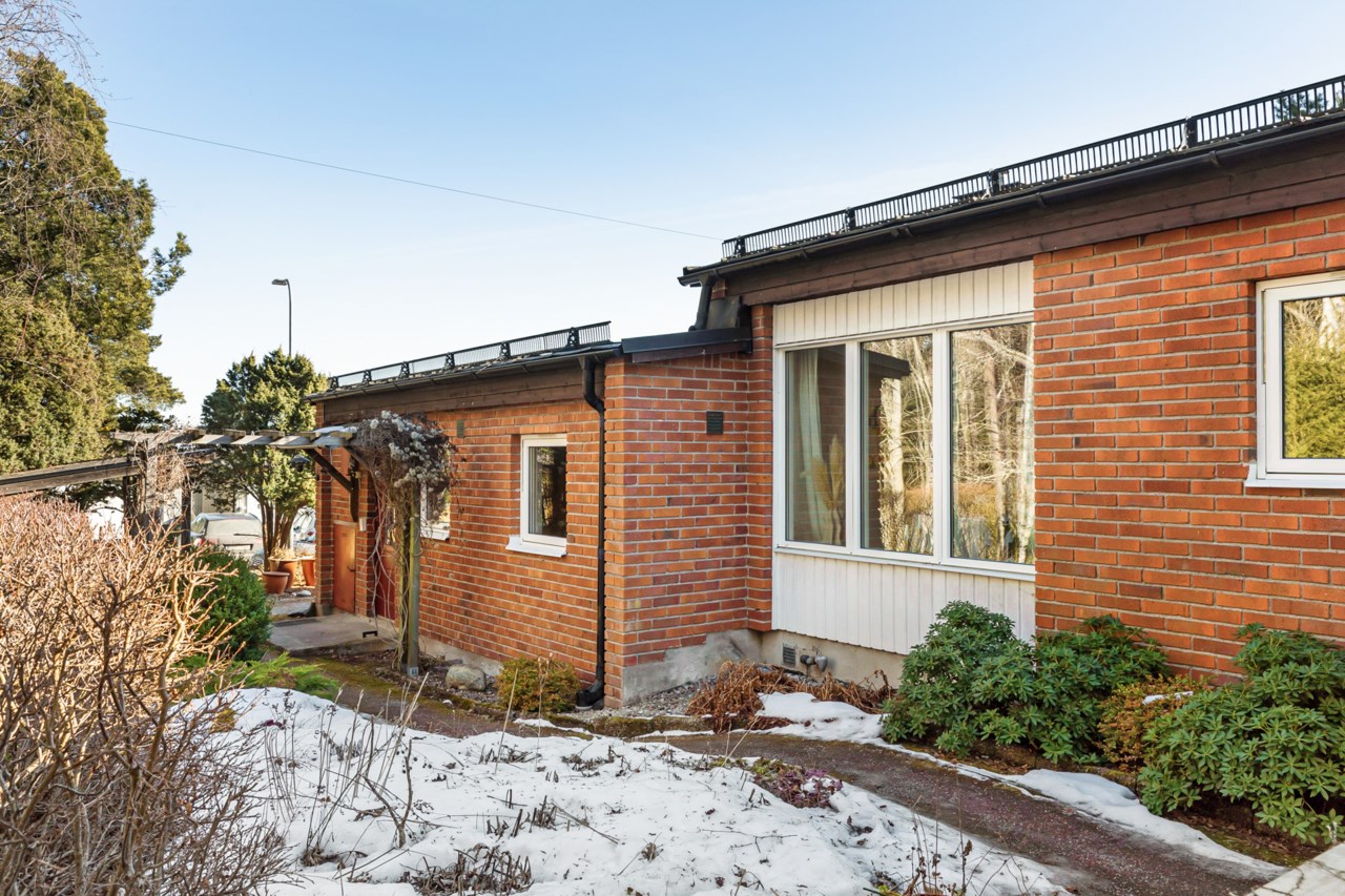 Trädgård och groventré