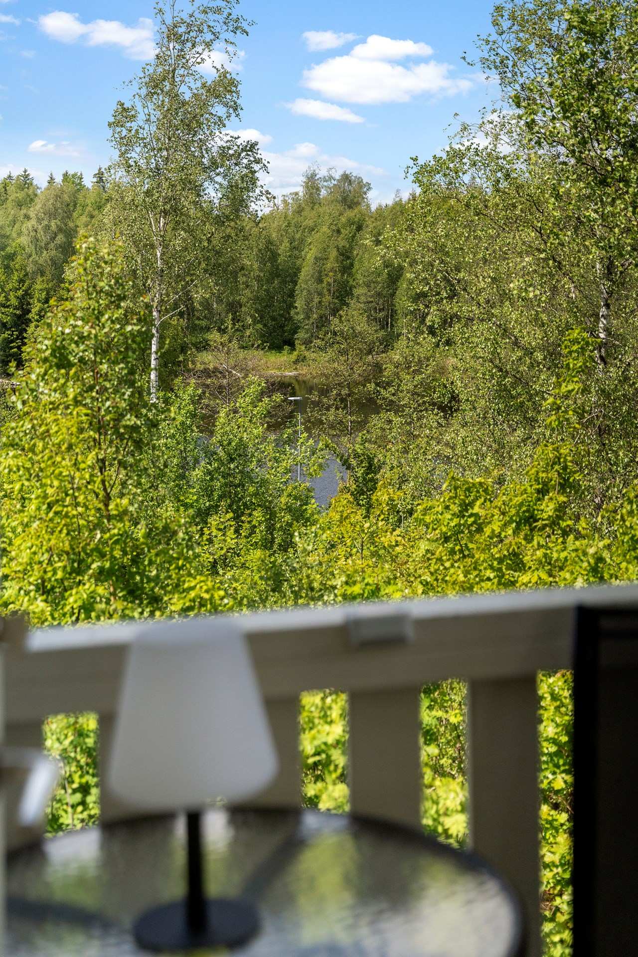 Ryrsjön 230