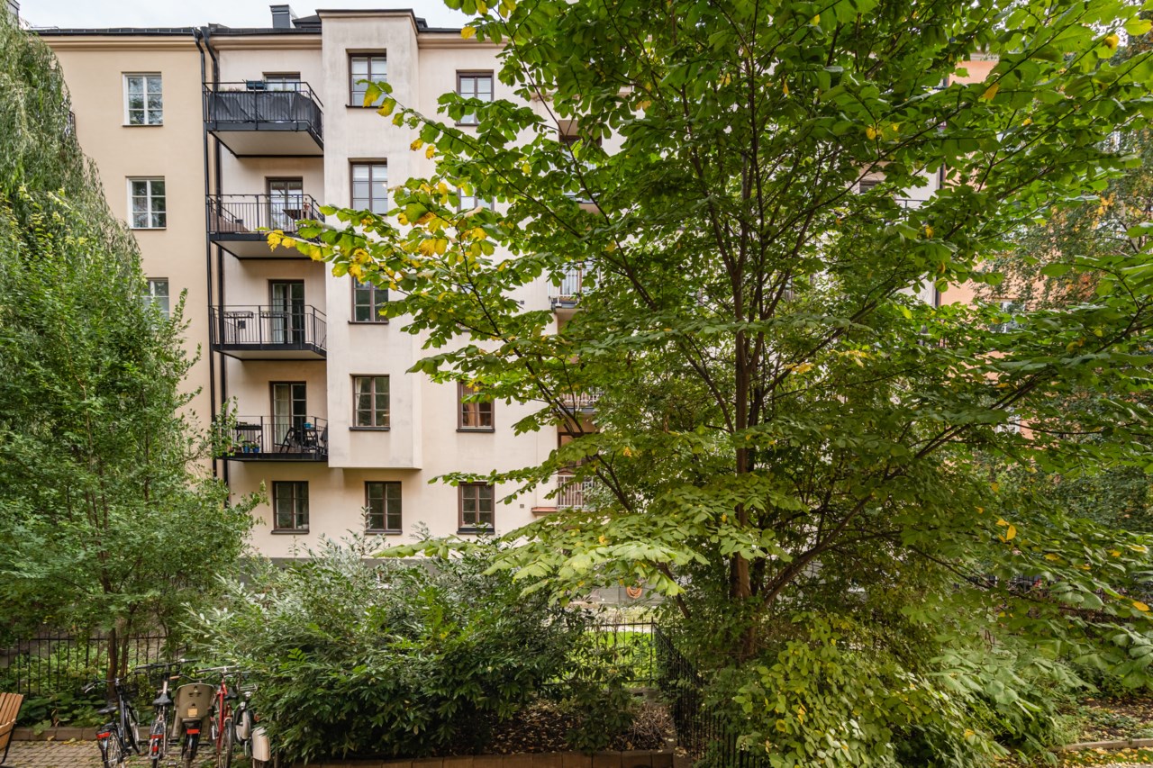 Jungfrugatan 52