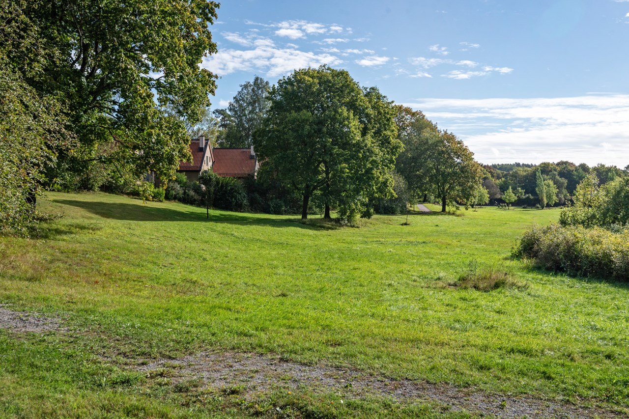 Lingvägen 211