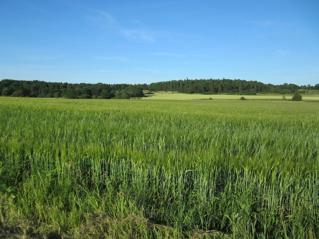 Tryffelvägen 47