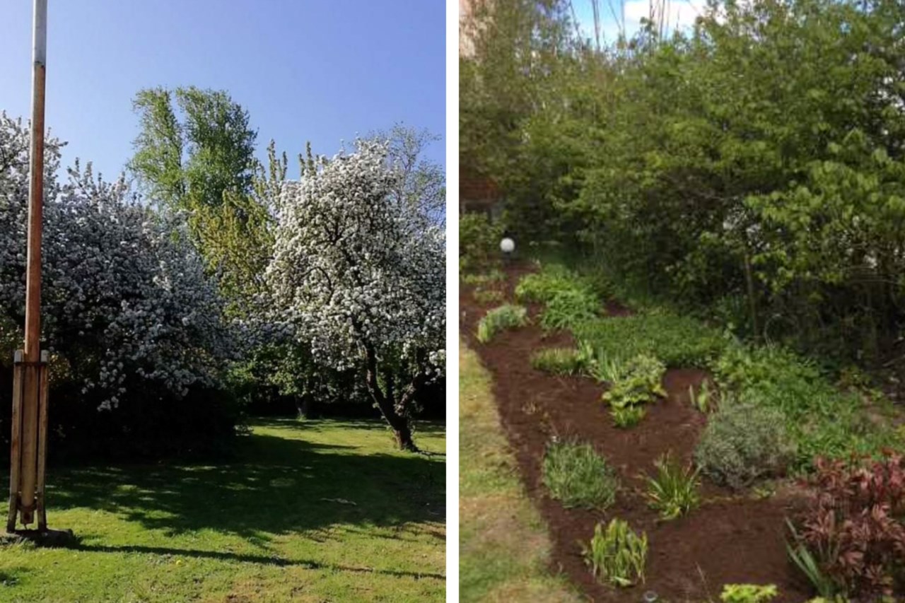 Säljarens bilder