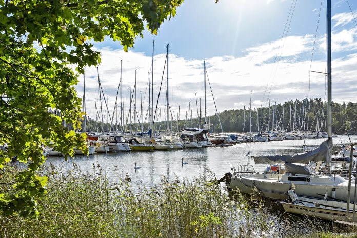 Boson hamn