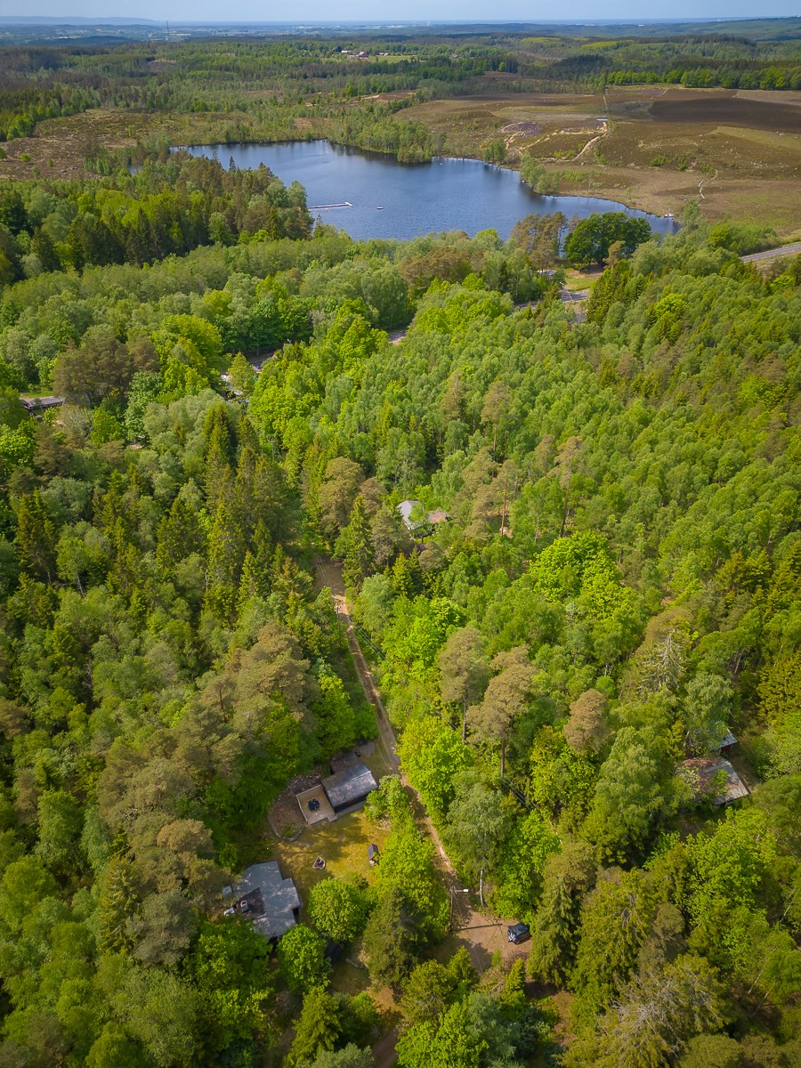 Mästocka 141