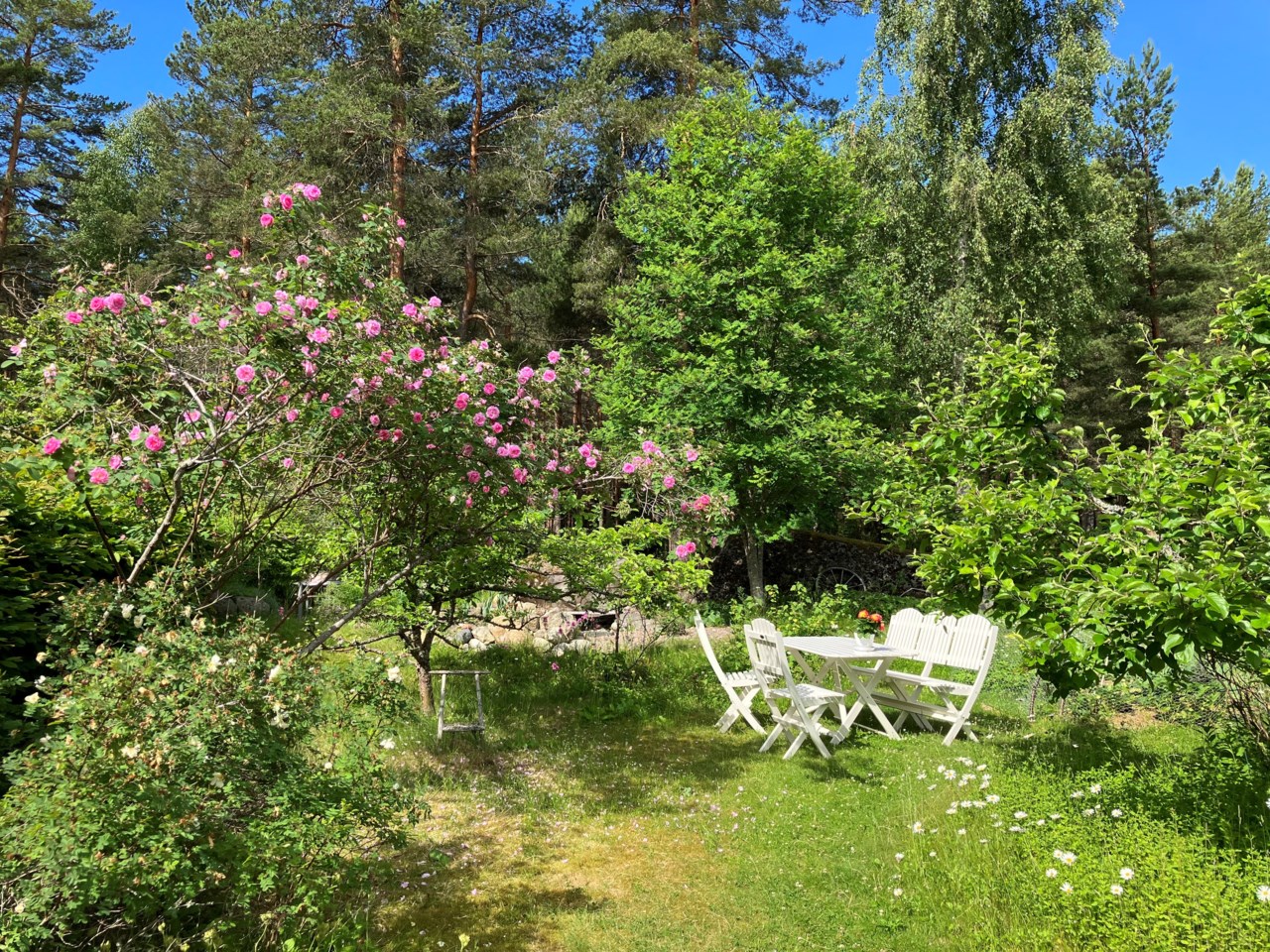 Nåntuna backe 54