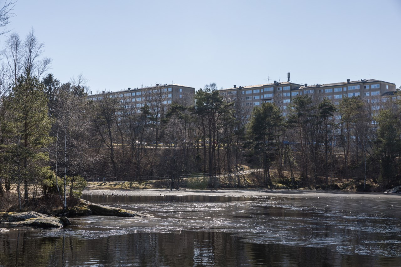 Fjällbruden 12