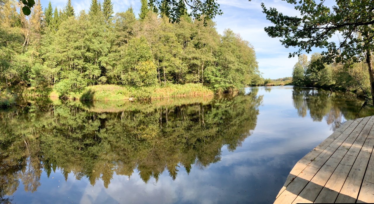 Säljarens egna bilder