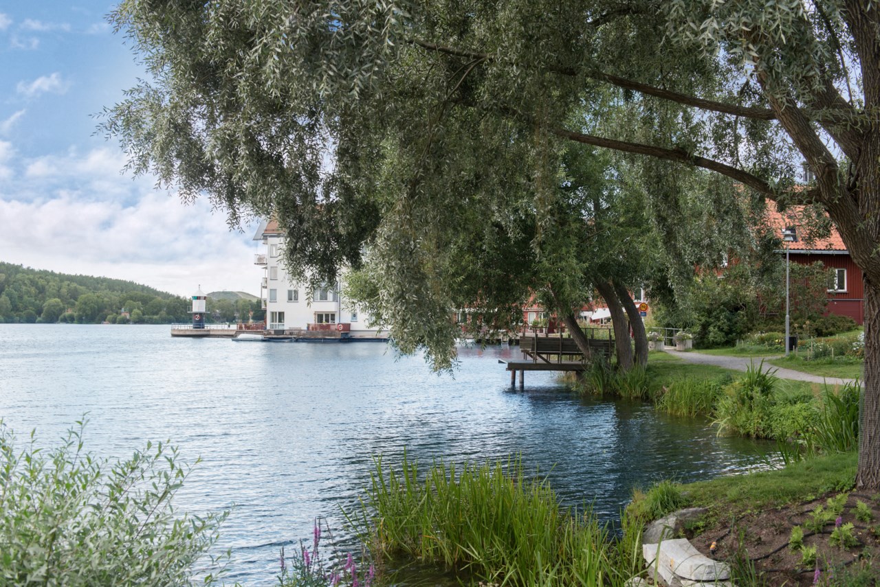 Mysiga järlasjön