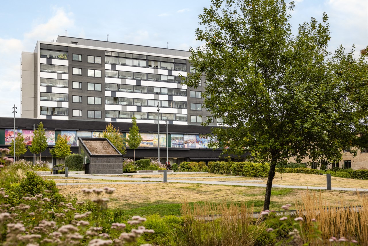 Stadsparken 2