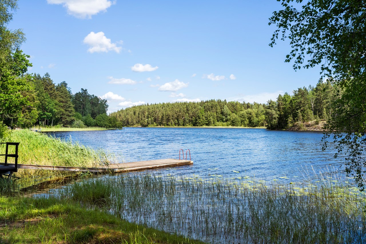 Rialavägen 50