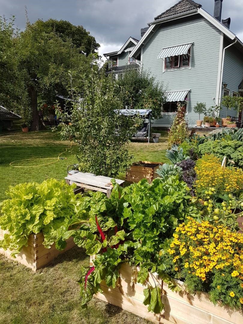 Säljarens egna bilder