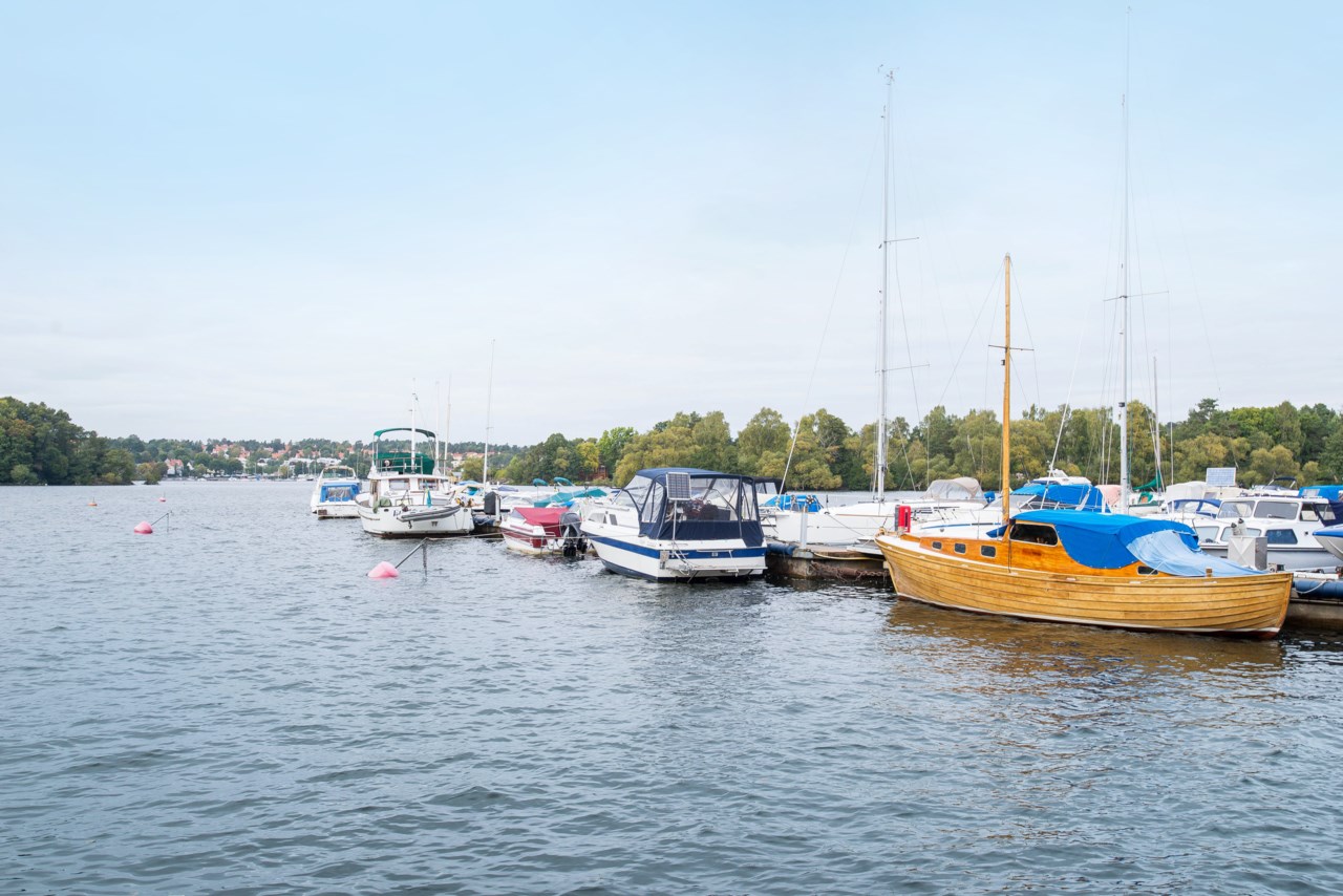 Höst Vinterviken