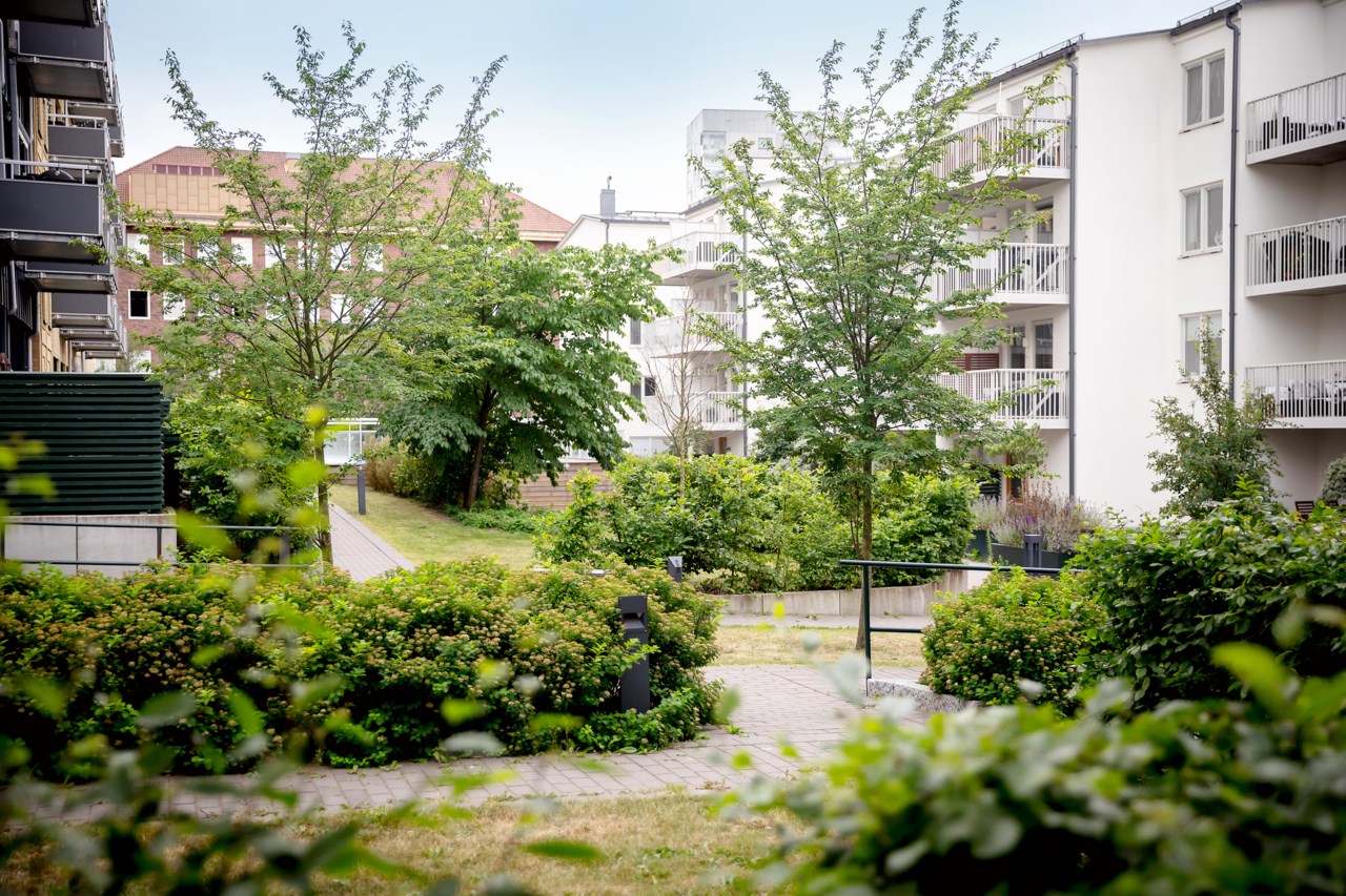 Radiusbacken 6