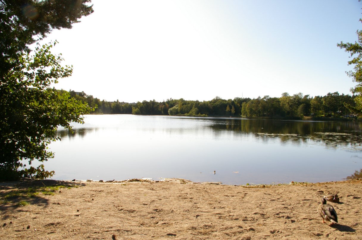Skarpövägen 39