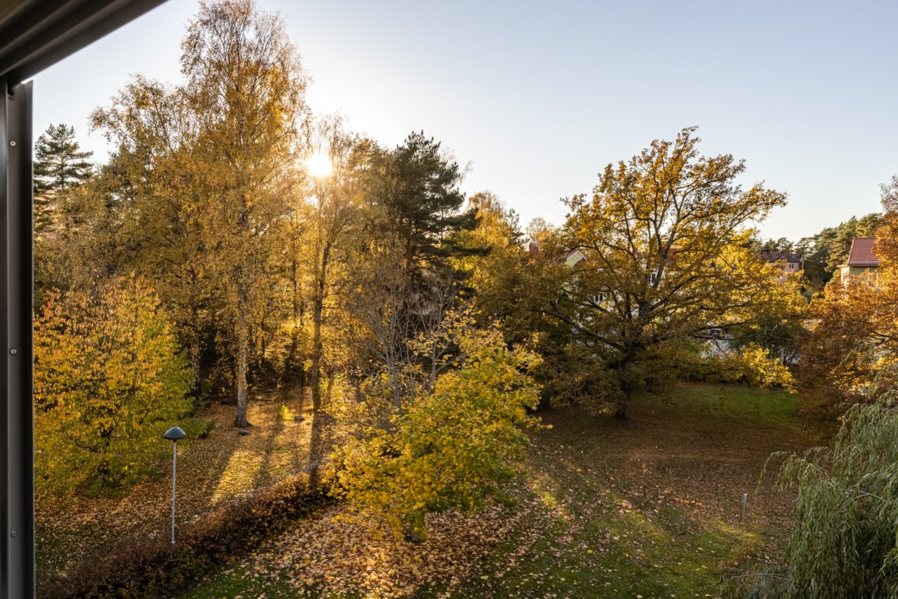 Hammarvägen 48