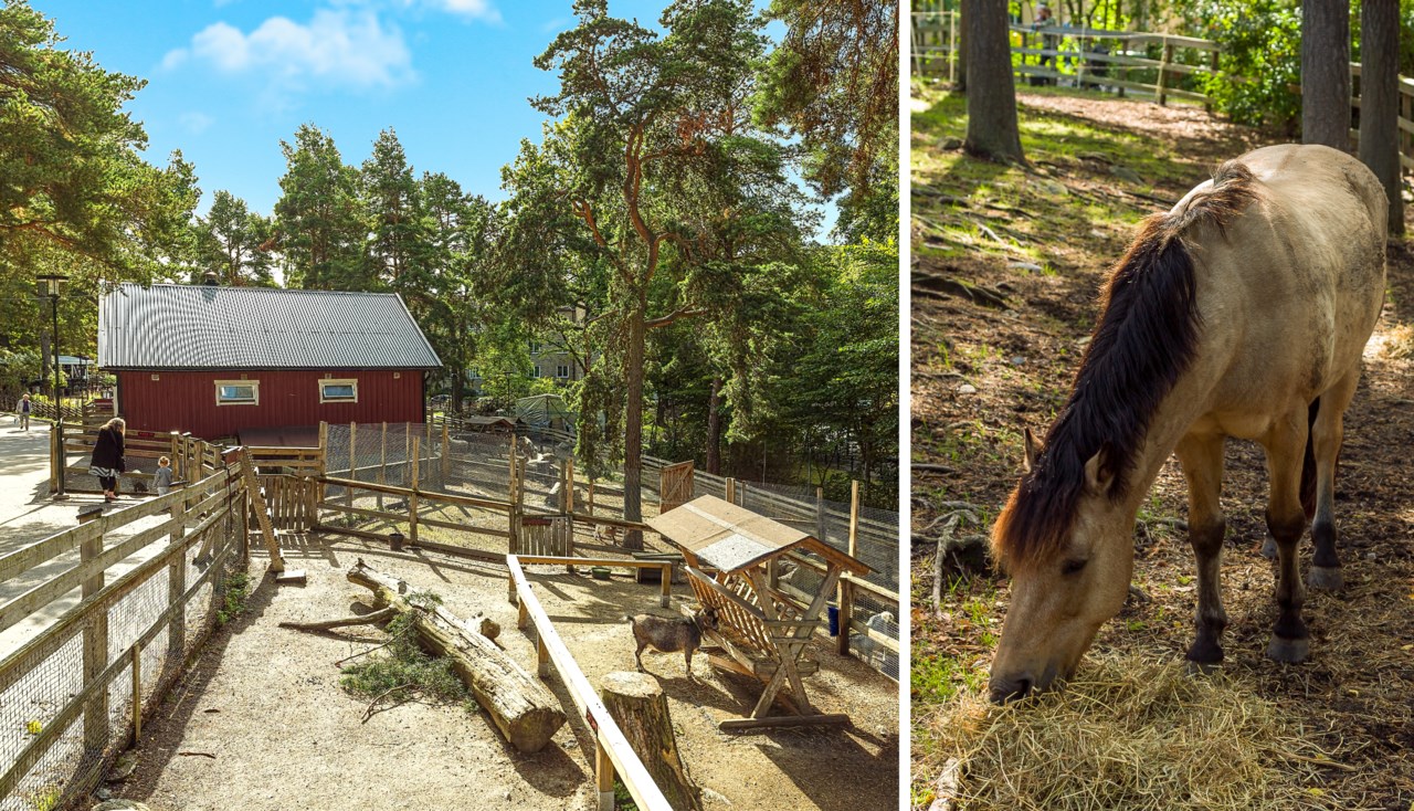 Fregattvägen 87