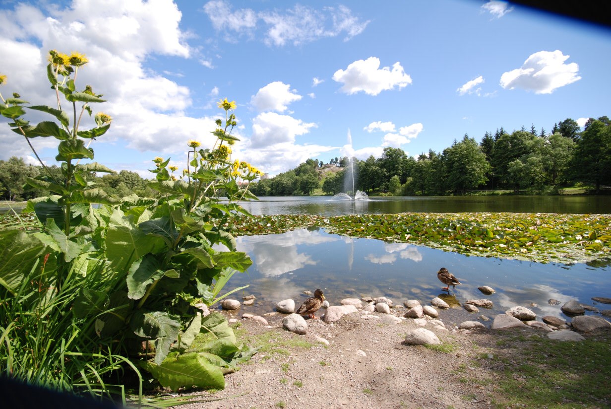 Logdansvägen 36