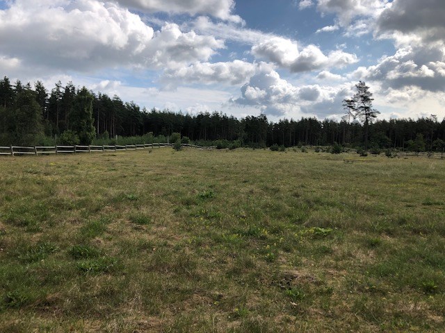 Algots väg 95