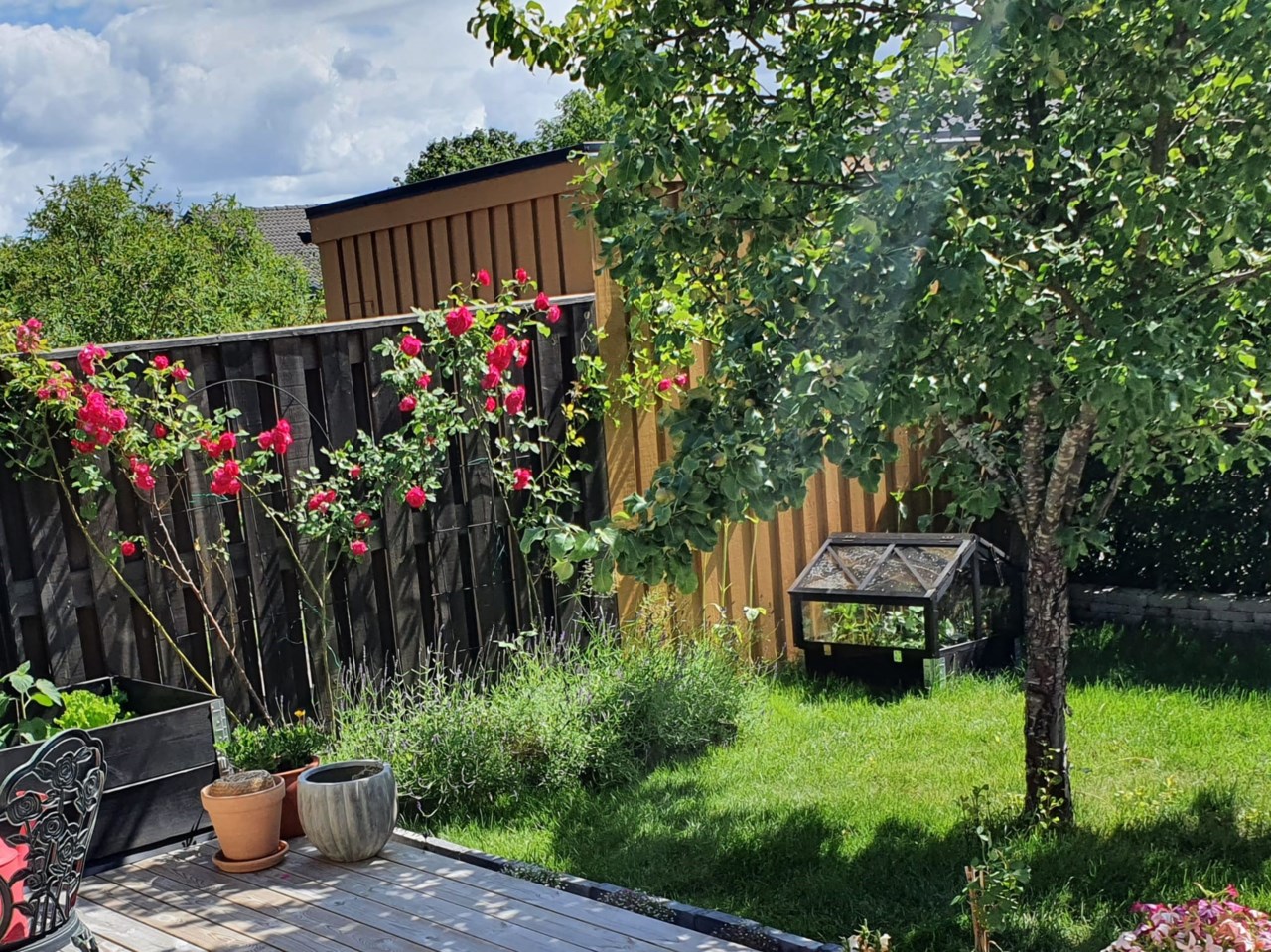 Lilla Björnens Gränd 8