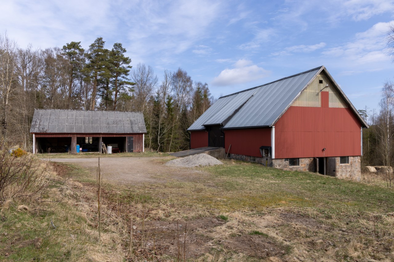 Rås 5