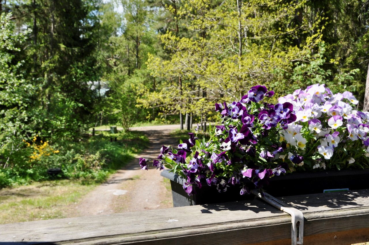 Ängvägen 21