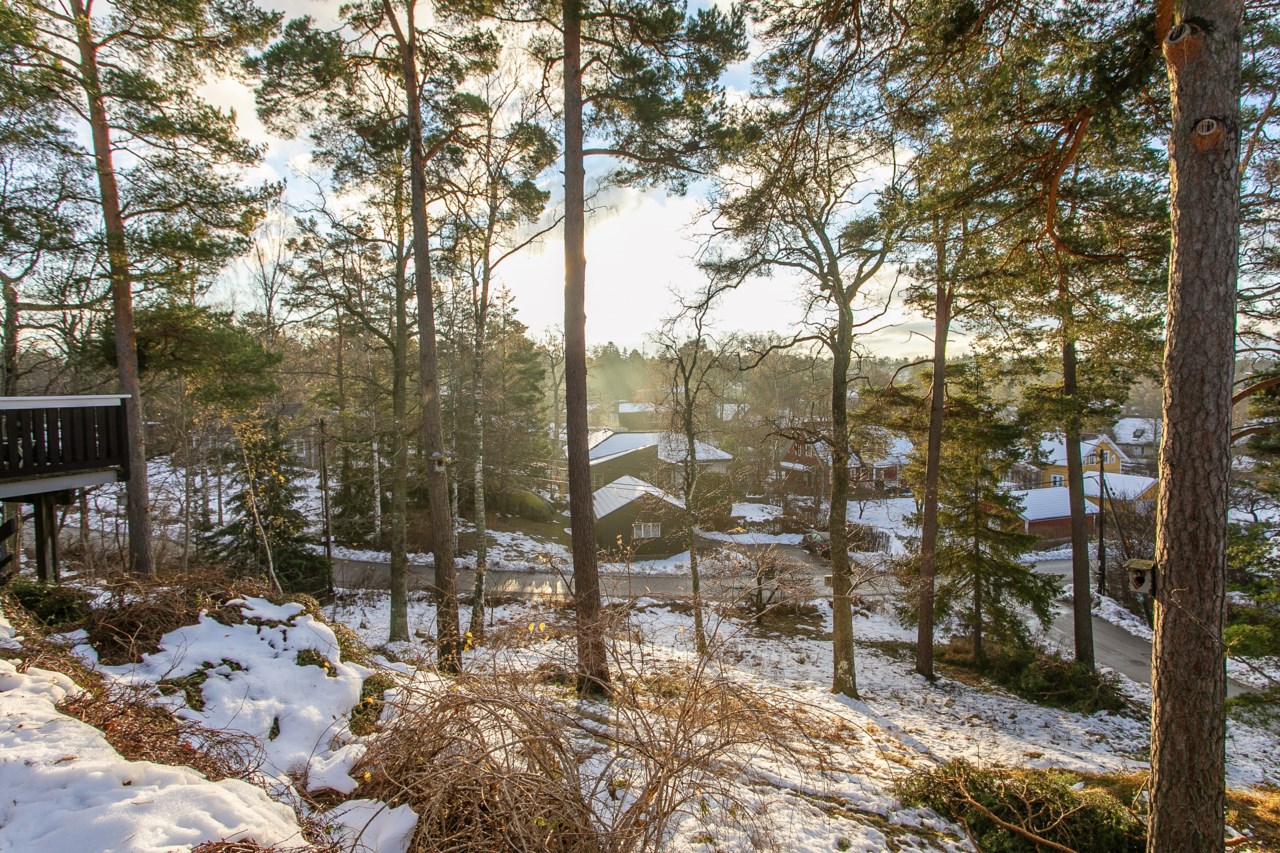 Fjällbrudens väg 19