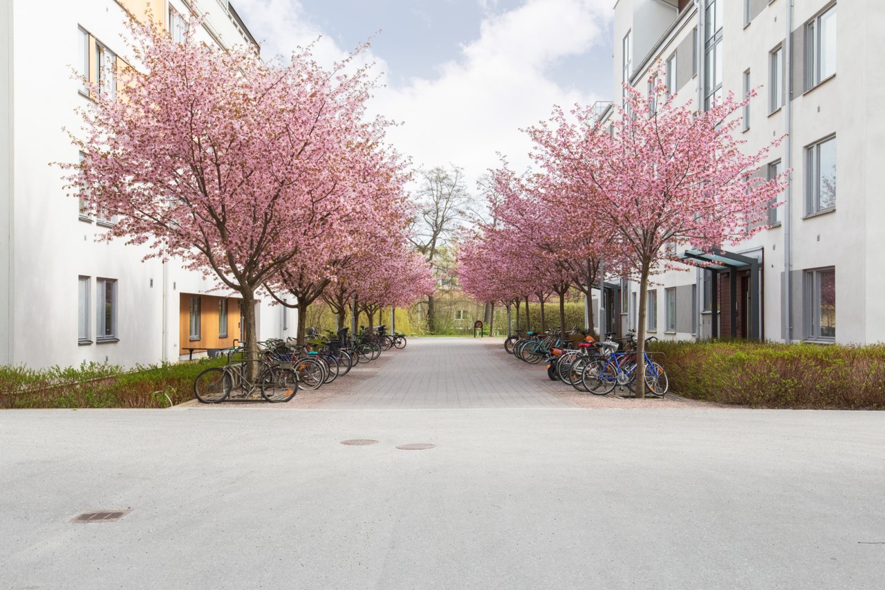 Ringgatan 2A
