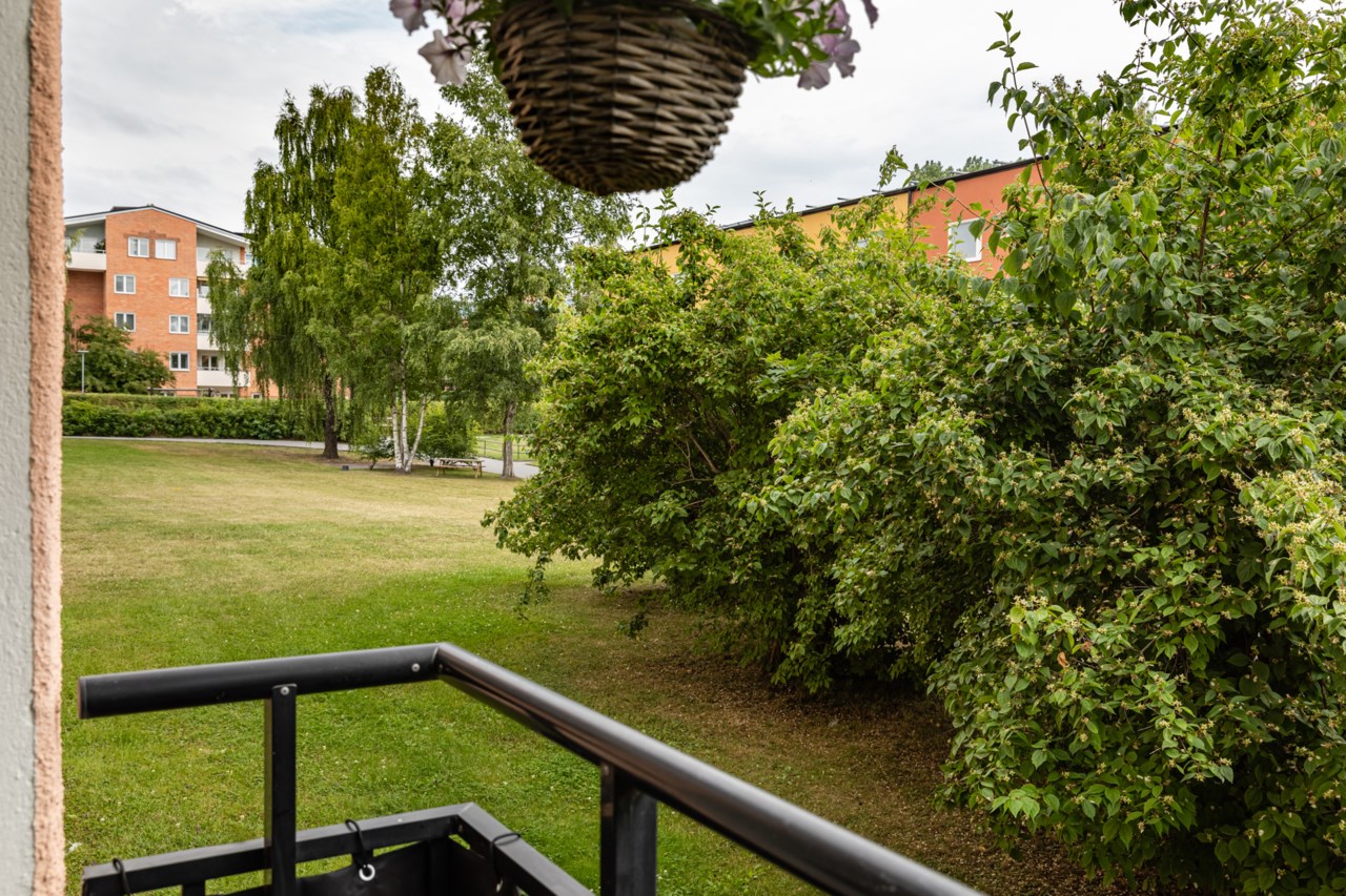 Minutgränd 37