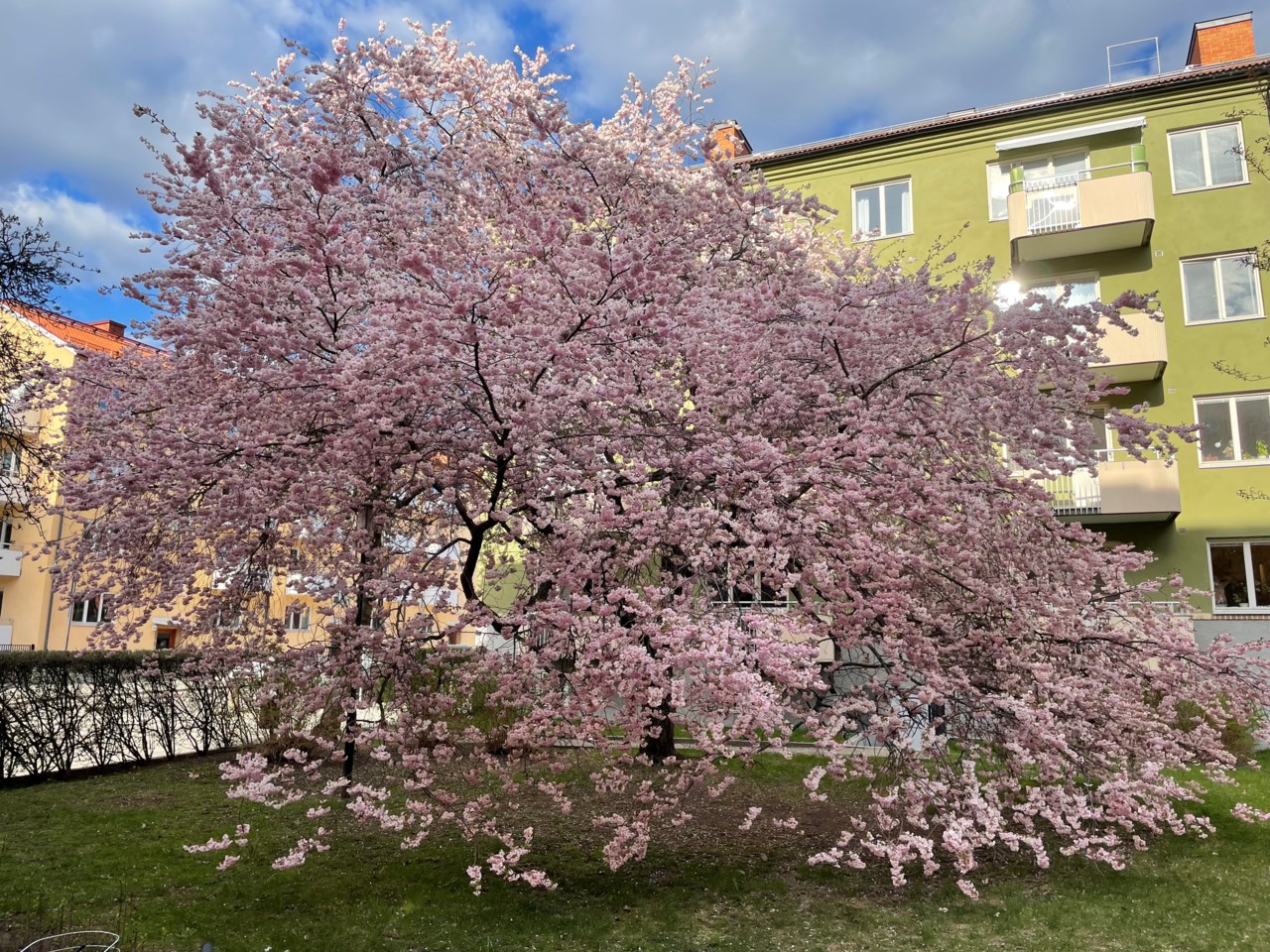 Hägerstensvägen 163A, 2 tr.