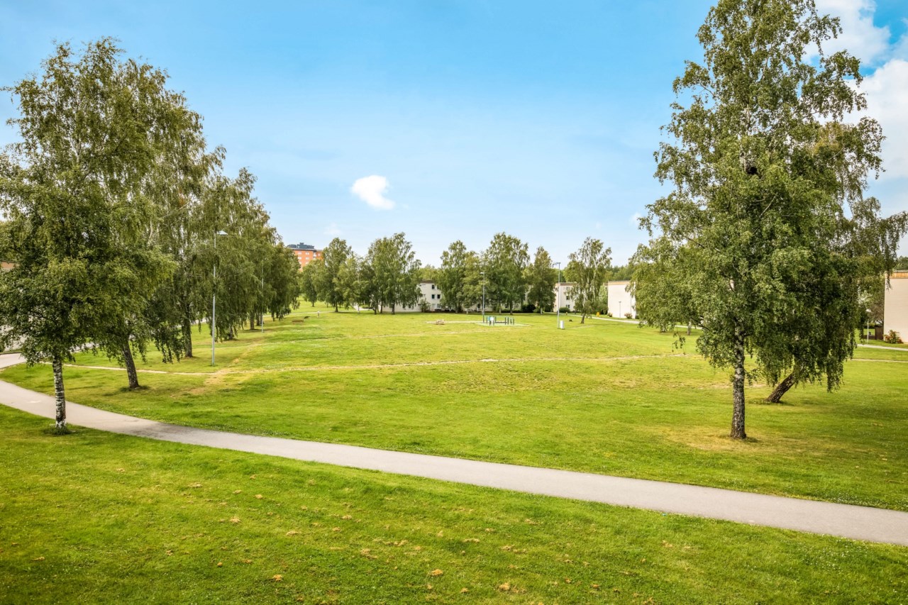 Närområde