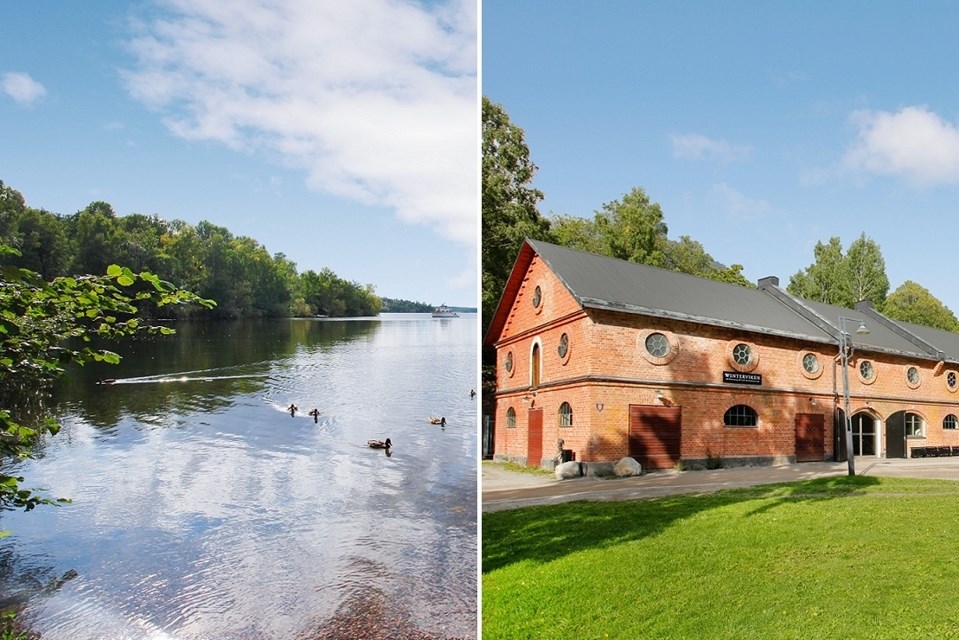 Vinterviken