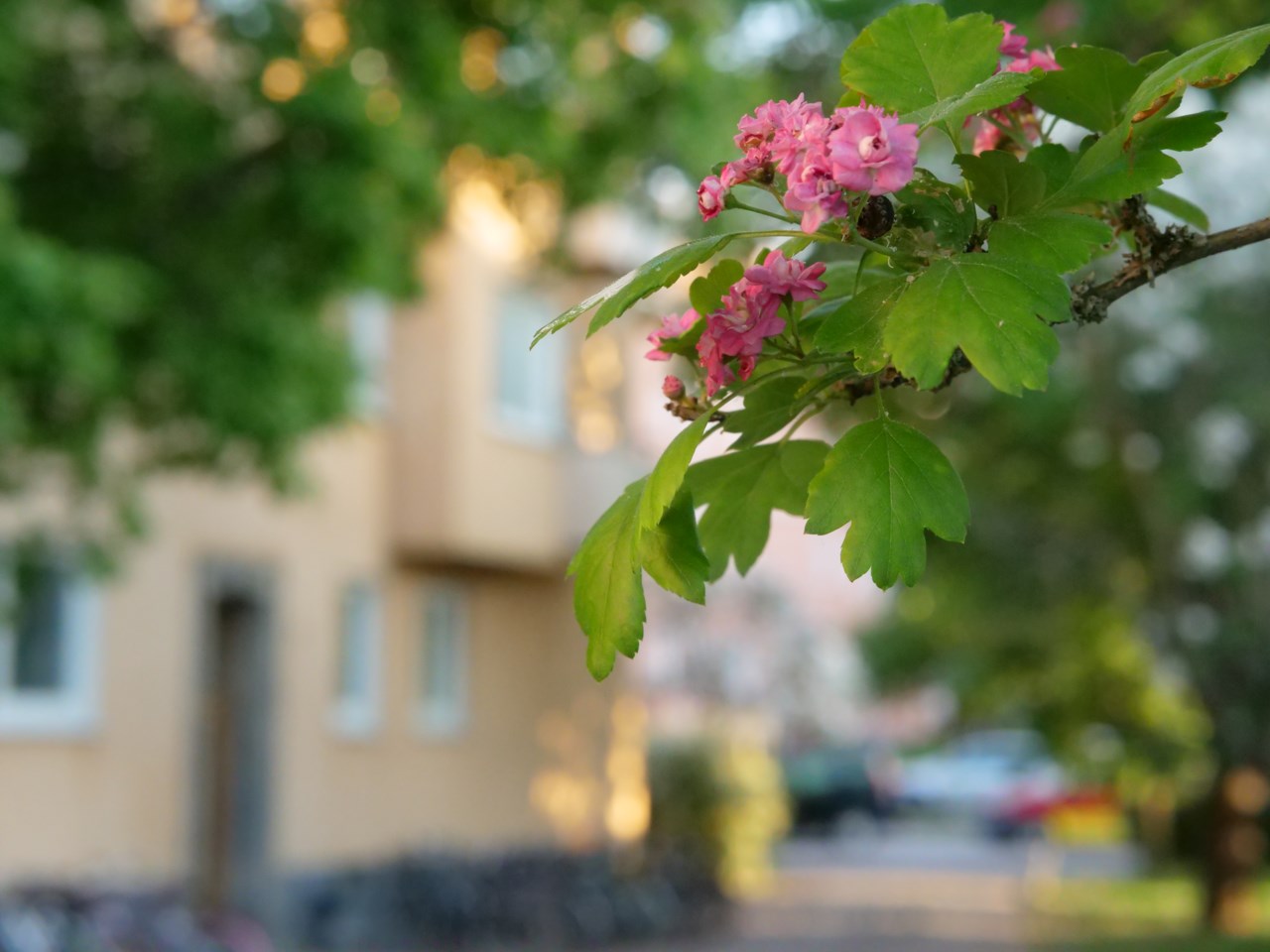 S:t Göransgatan 24B