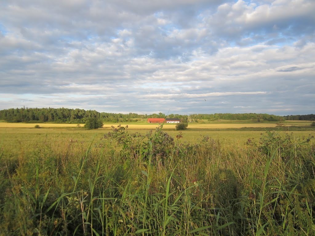 Tryffelvägen 47