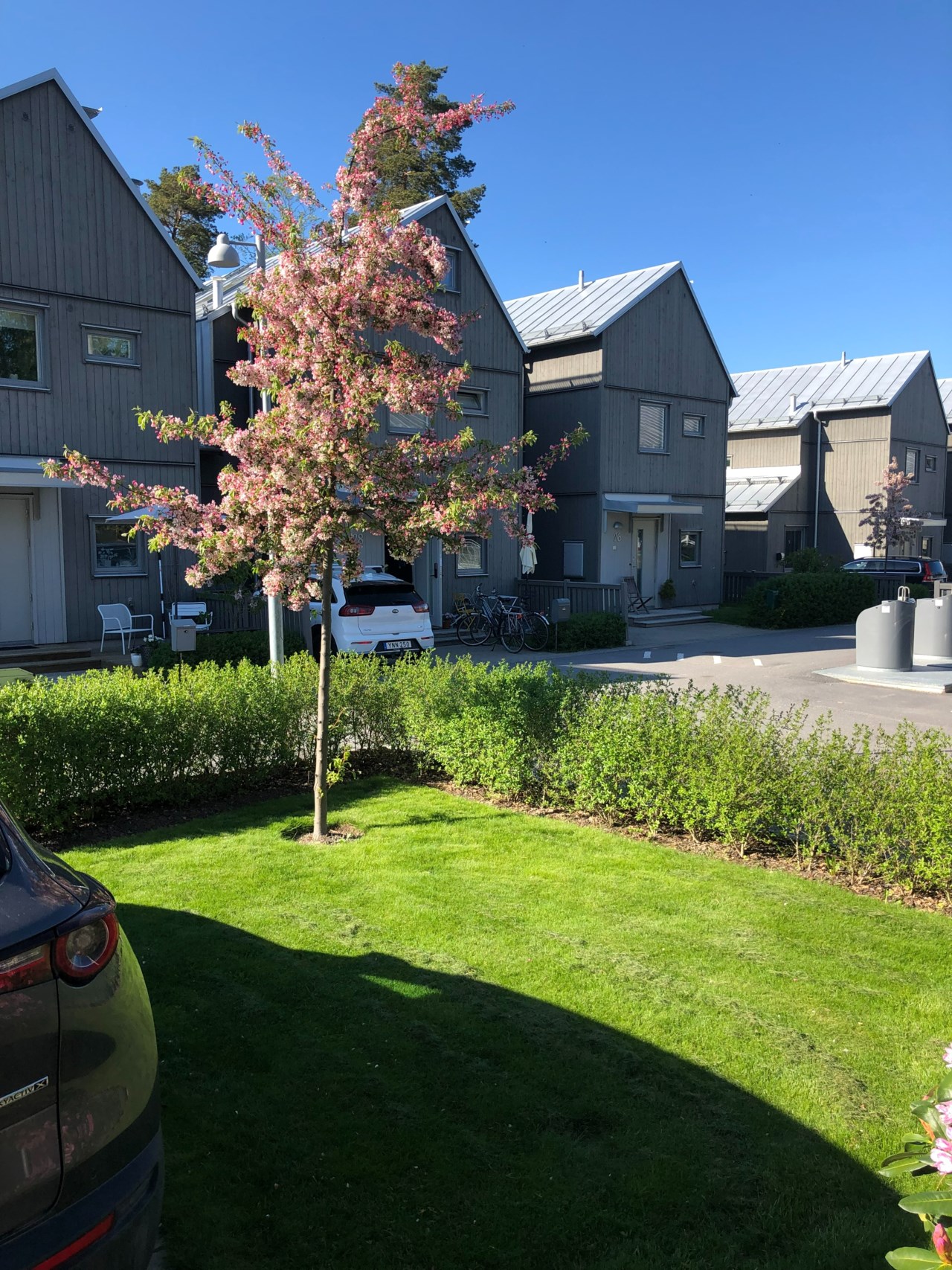 Ligustervägen 39