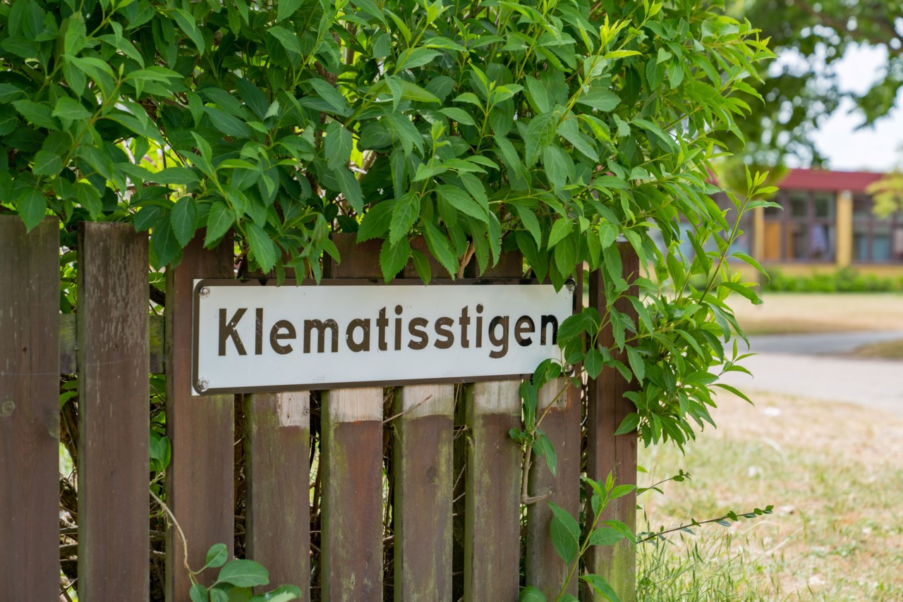 Klematisstigen 24