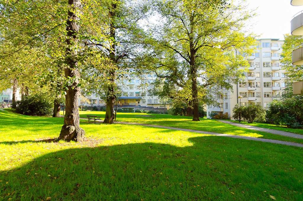 Grönområde precis vid huset