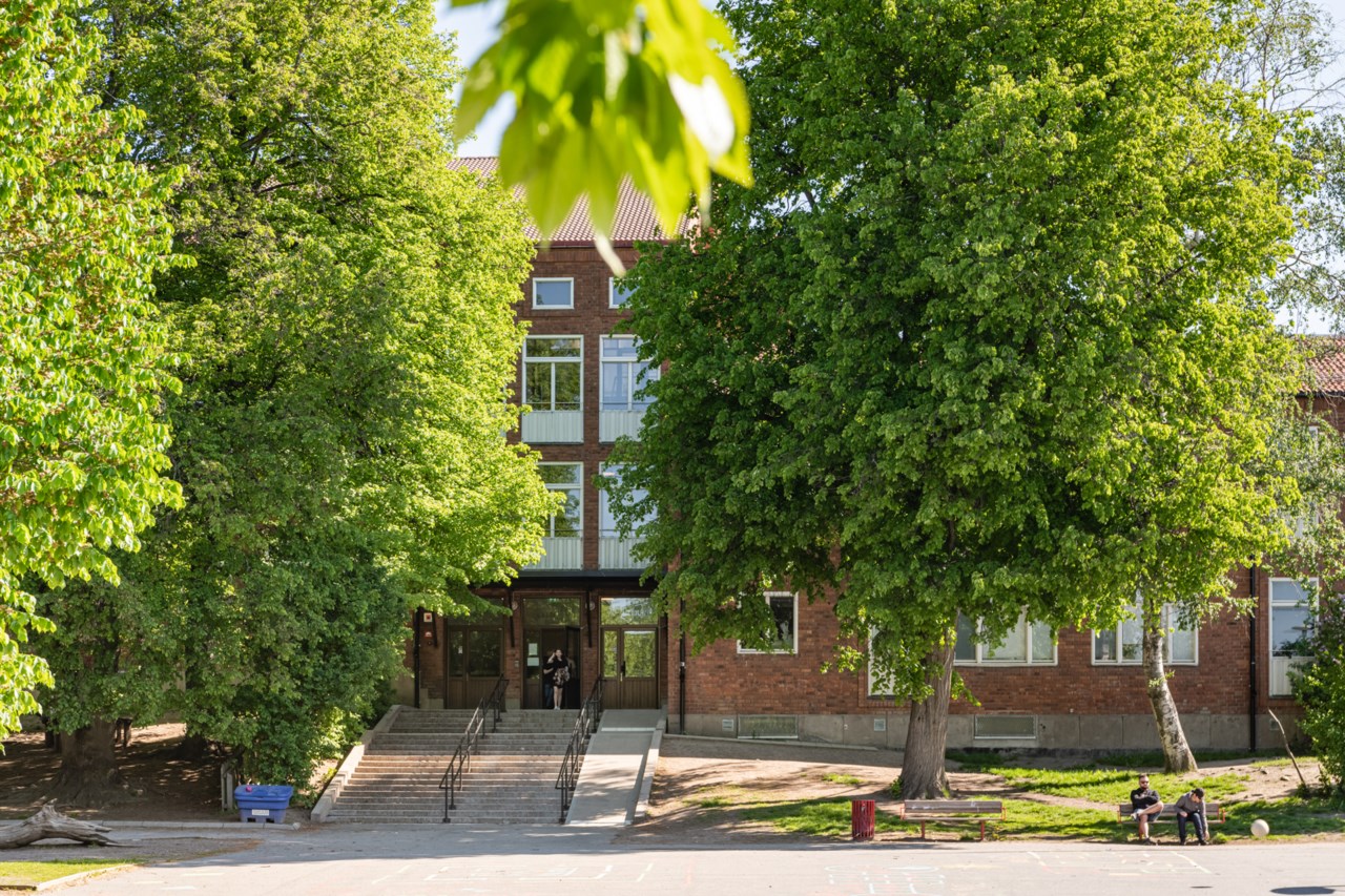 Skönviksvägen 313