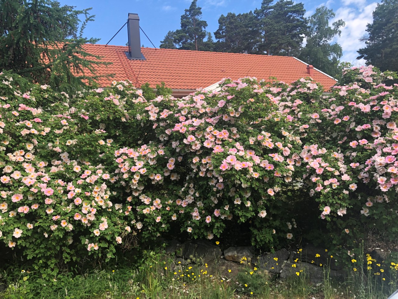 Vedhuggarvägen 2