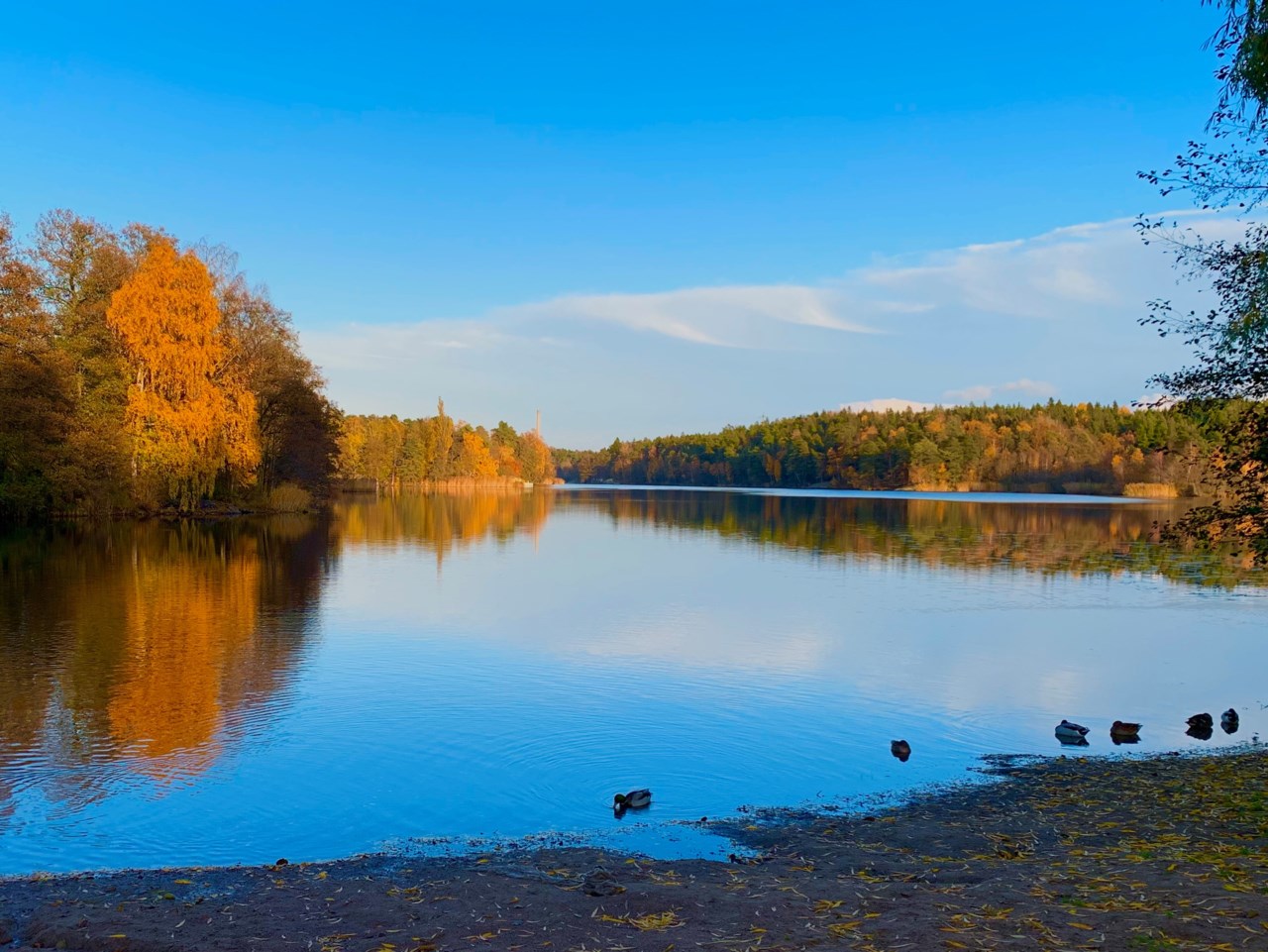 Kottlasjön