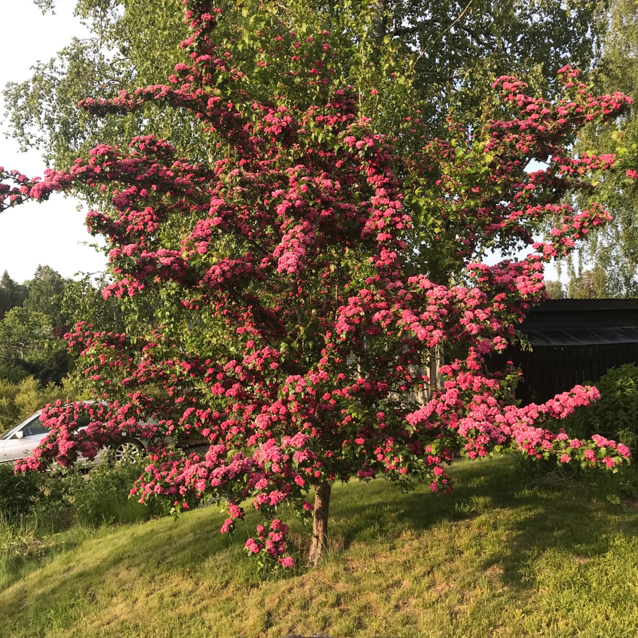 Terrängvägen 23