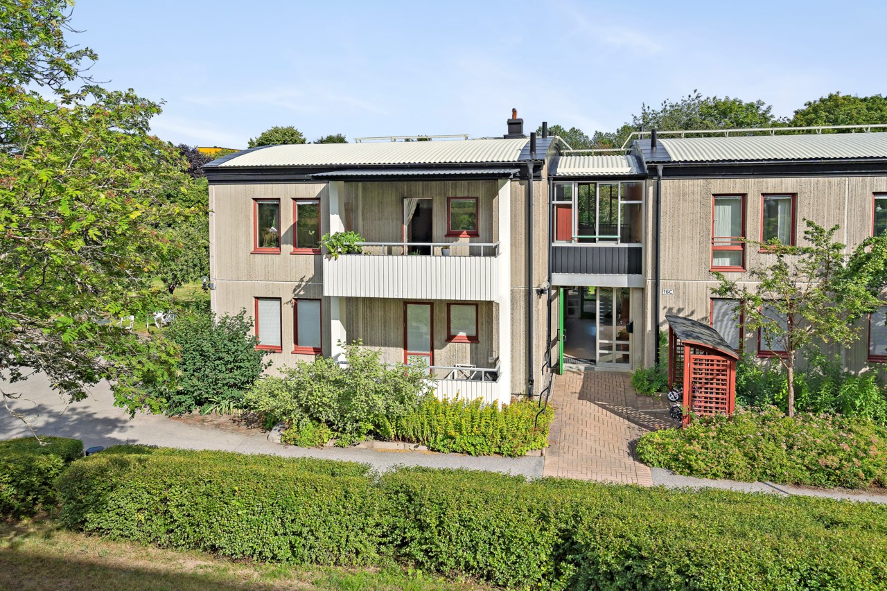 Ormingeringen 16C