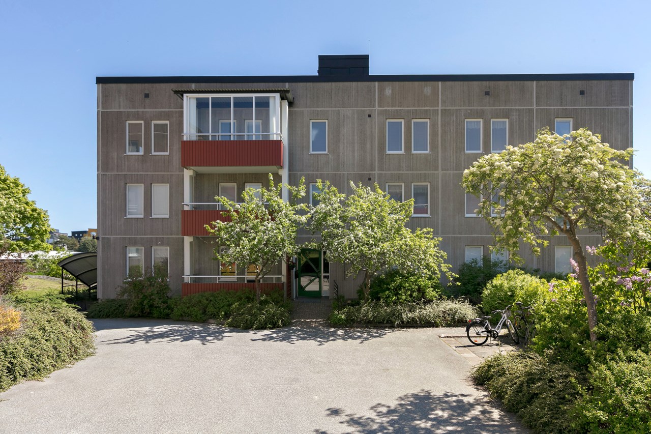 Ormingeringen 19