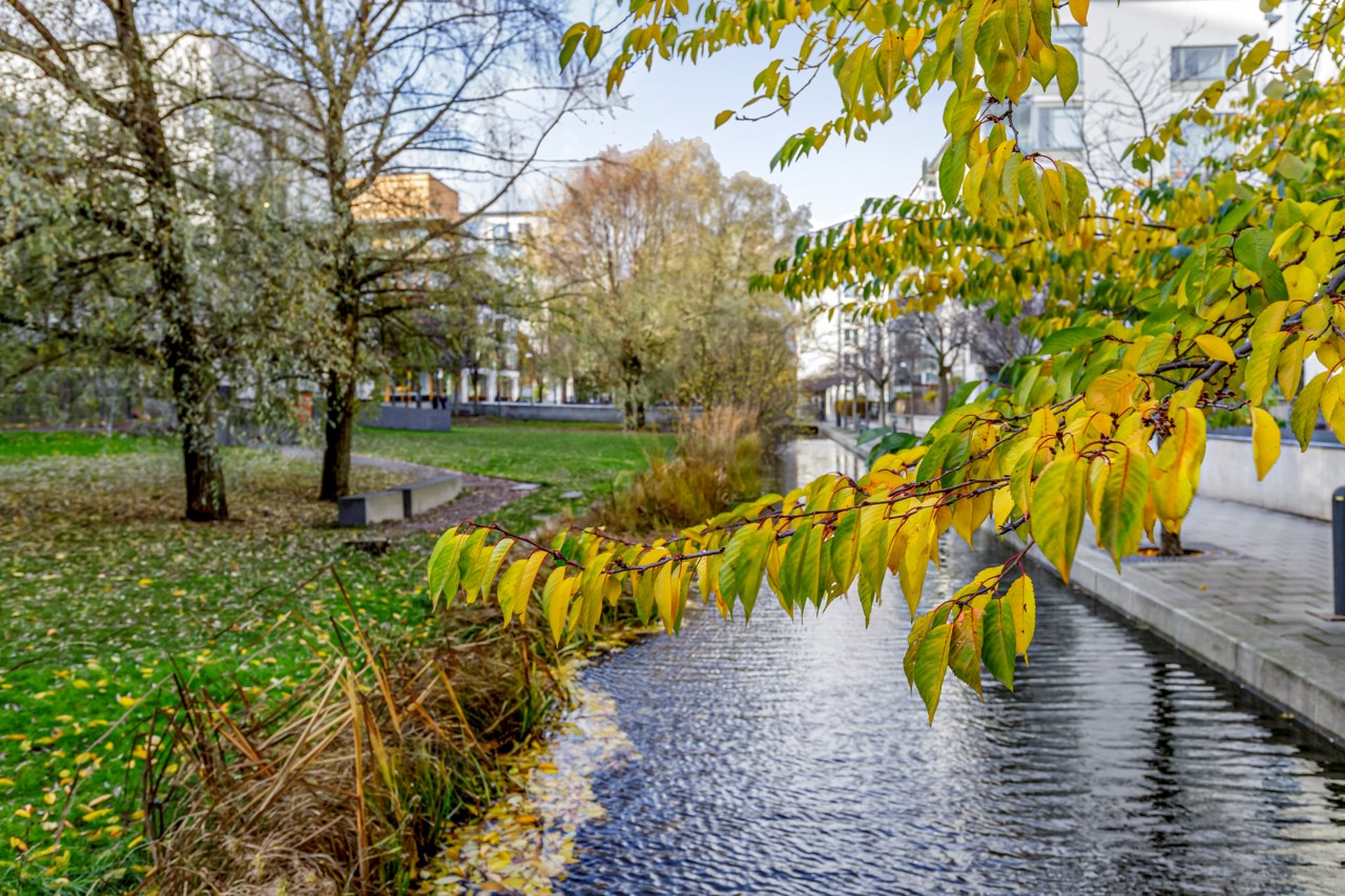 Midskeppsgatan 22B Högst upp