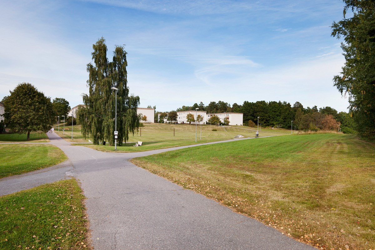 Närområde
