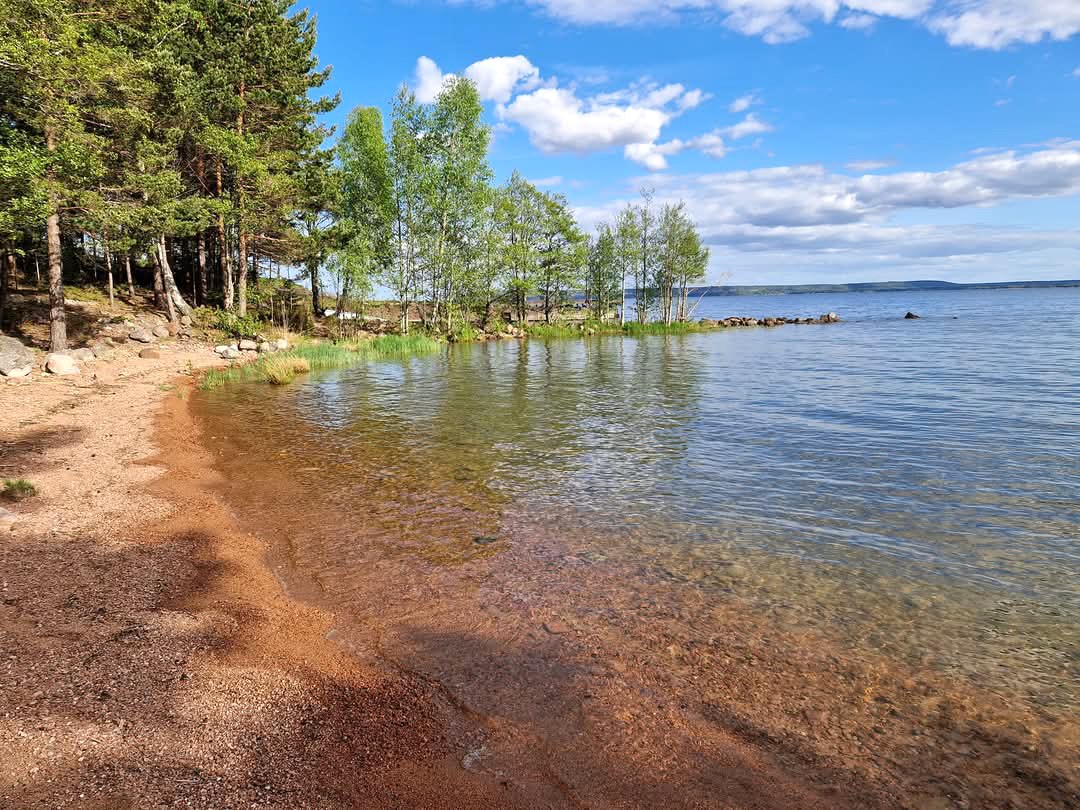 Dereviken 302