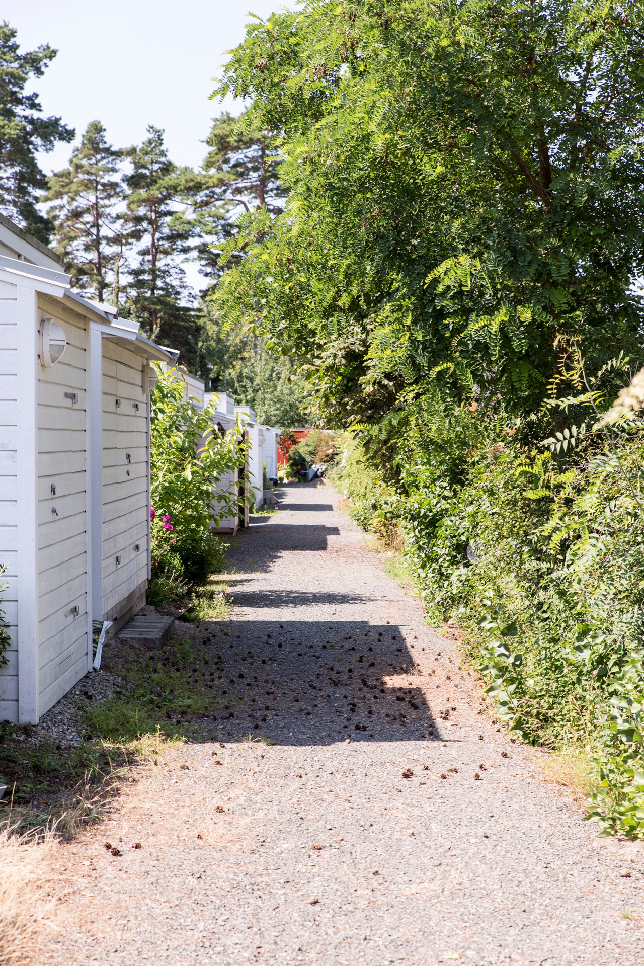 Talgoxevägen 2 D