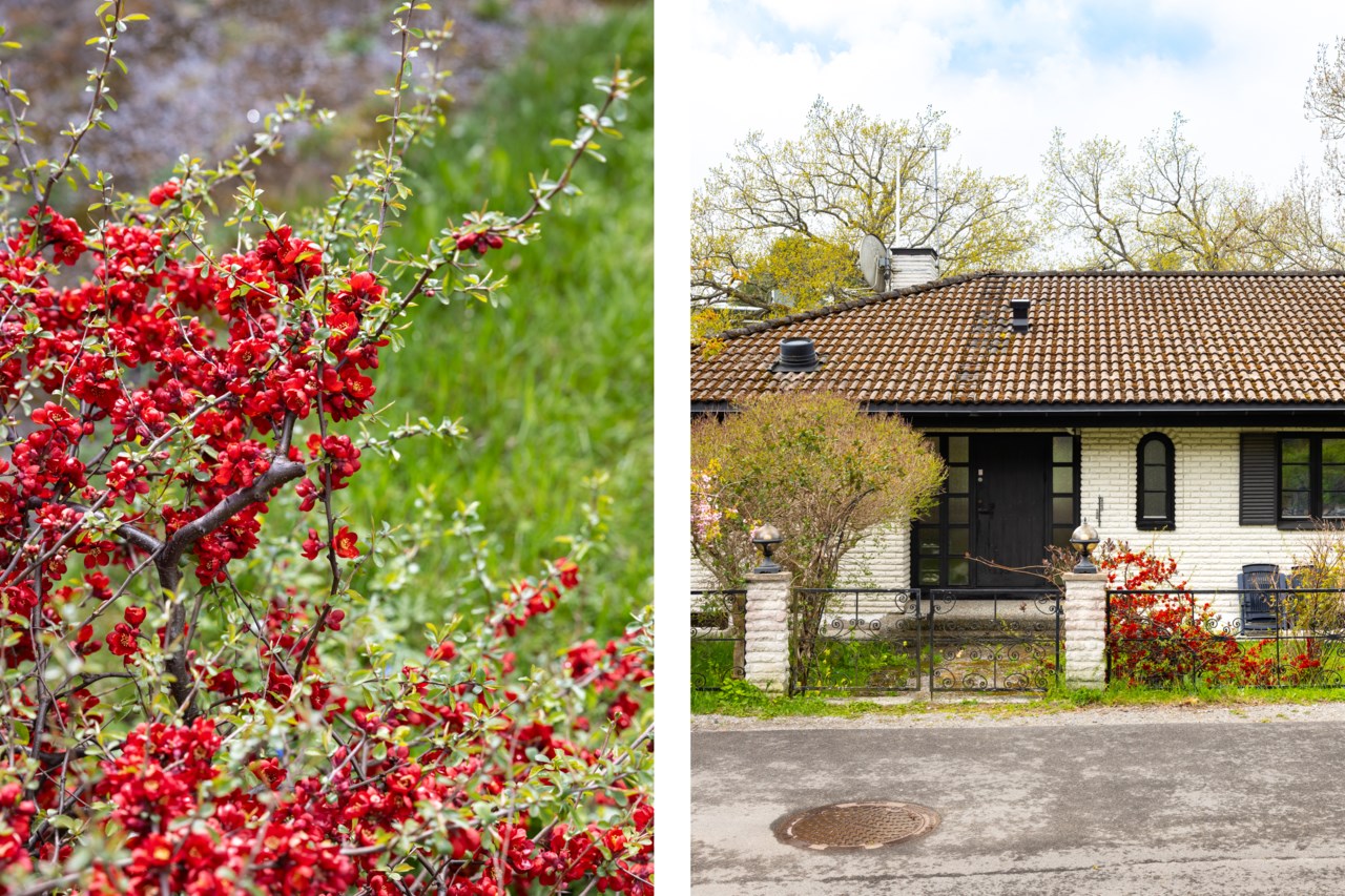 Rödstuguvägen 44/Vitlingvägen 1