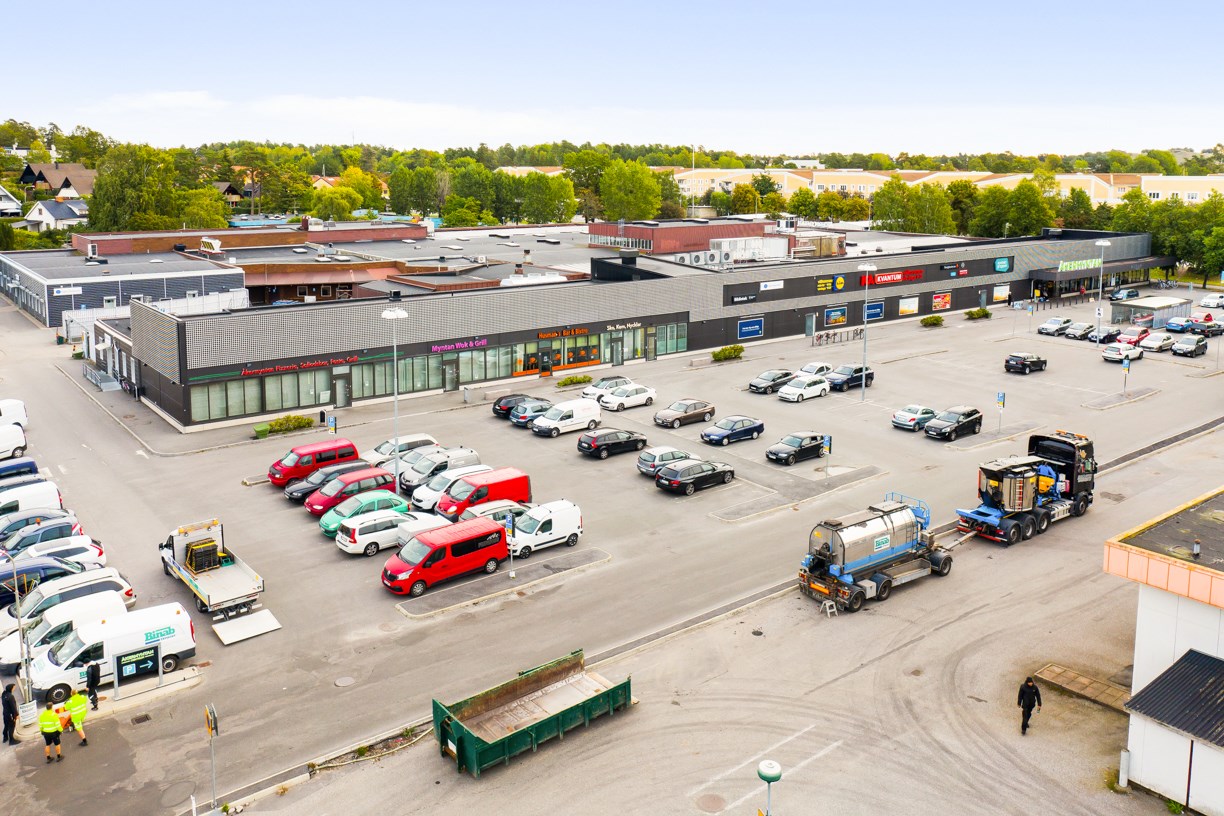 Åkermyntan