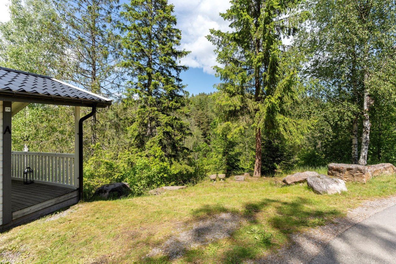 Ryrsjön 230